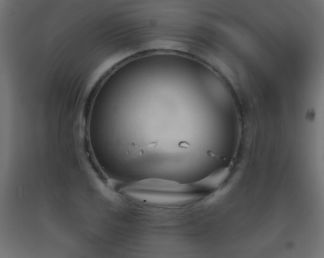 X0000093381125200710111449