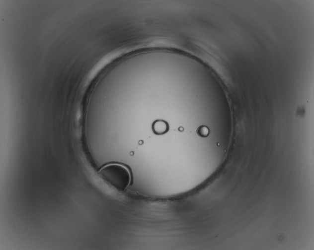 X0000093381126200710111449
