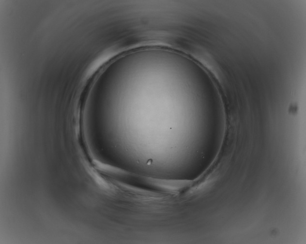X0000093381127200710111449