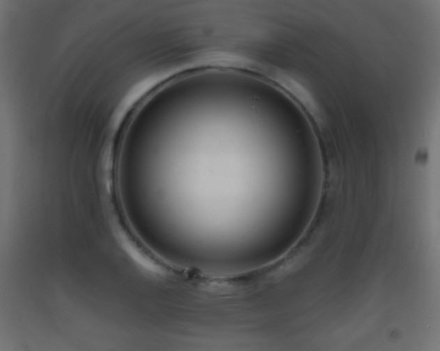 X0000093381128200710111449