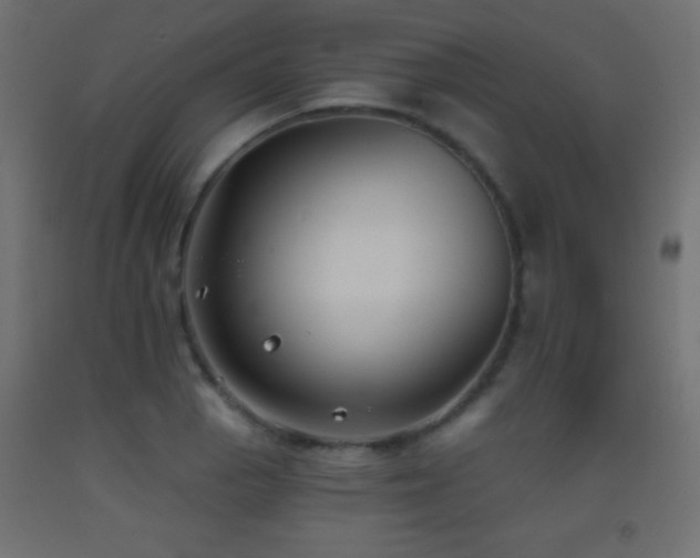 X0000093381129200710111449