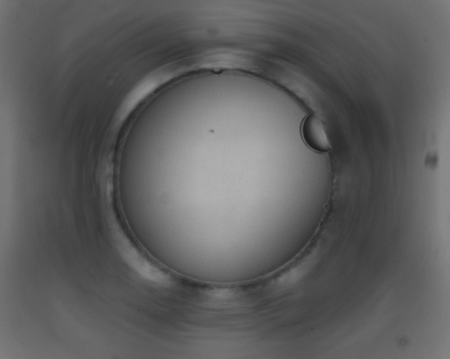 X0000093381130200710111449