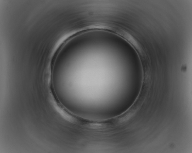X0000093381132200710111449