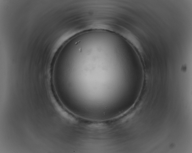 X0000093381133200710111449