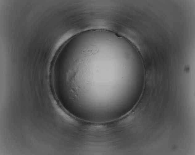 X0000093381135200710111449