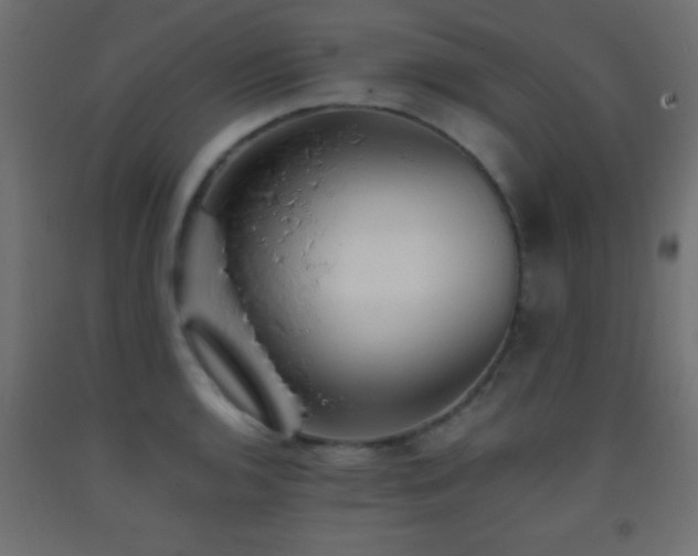 X0000093381136200710111449