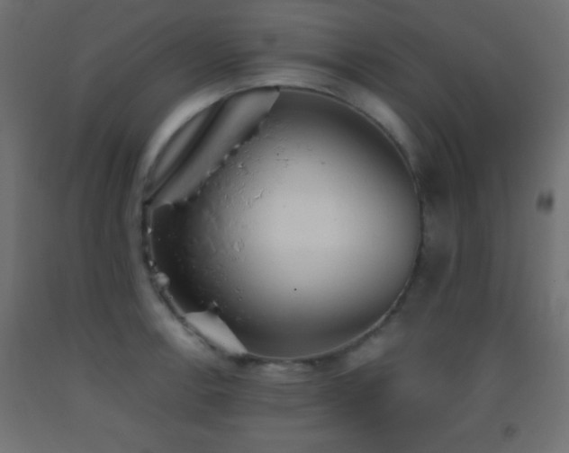 X0000093381138200710111449