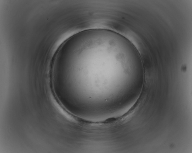 X0000093381142200710111450