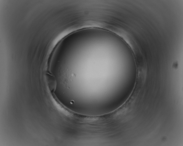 X0000093381143200710111450