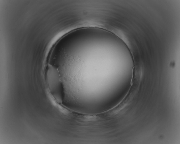 X0000093381144200710111450