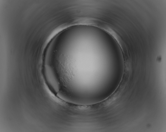X0000093381147200710111450