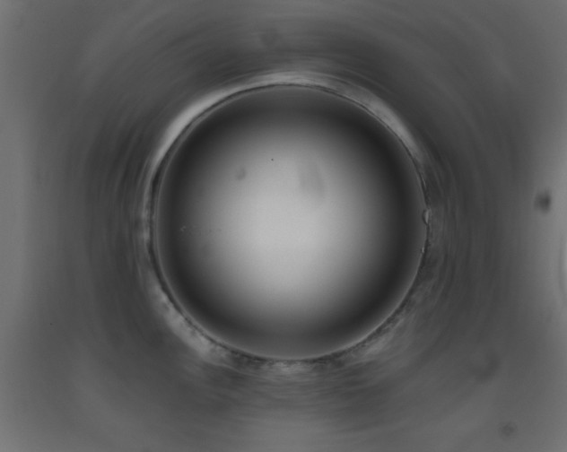 X0000093381148200710111450