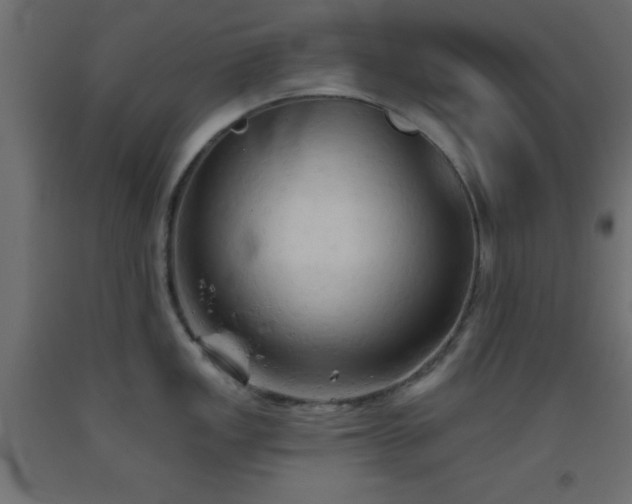 X0000093381149200710111450