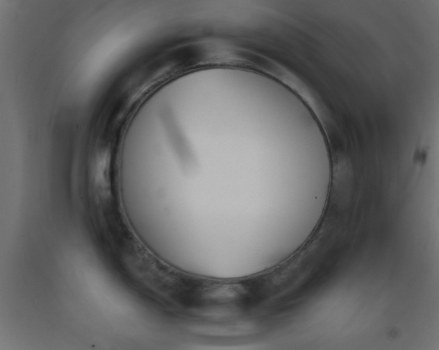 X0000093381150200710111450