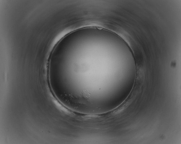 X0000093381151200710111450