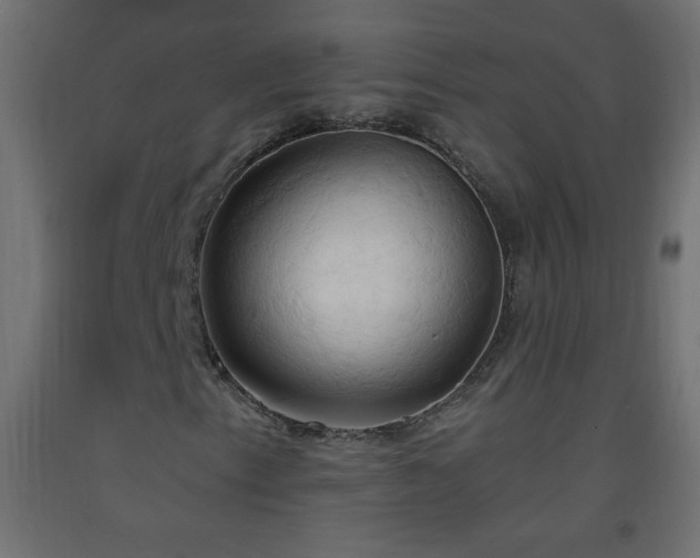 X0000093381153200710111449