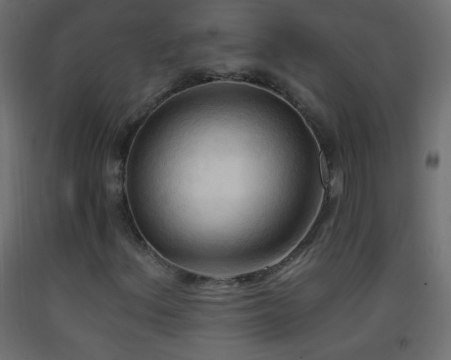 X0000093381156200710111449