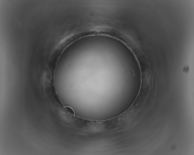 X0000093381158200710111449