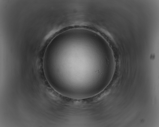 X0000093381160200710111449