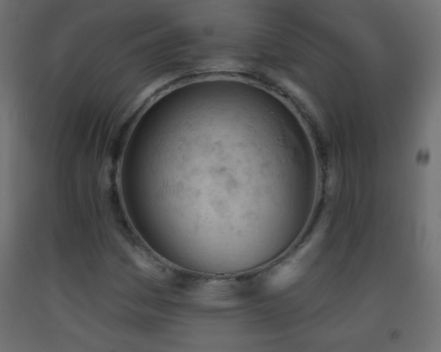 X0000093381161200710111449