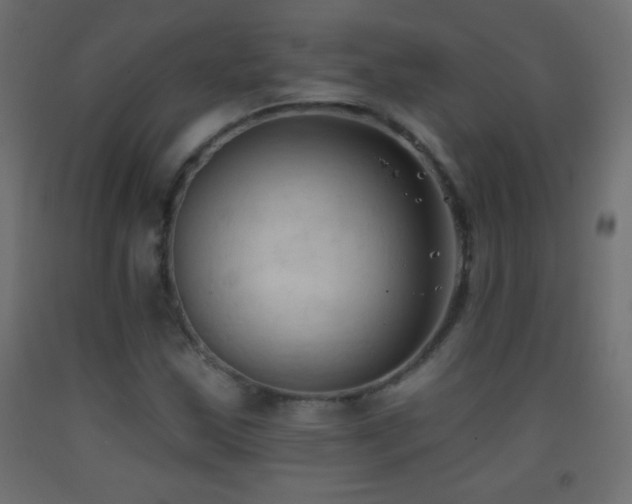 X0000093381163200710111449