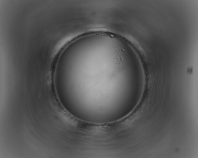 X0000093381167200710111449