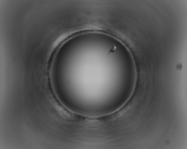 X0000093381168200710111449
