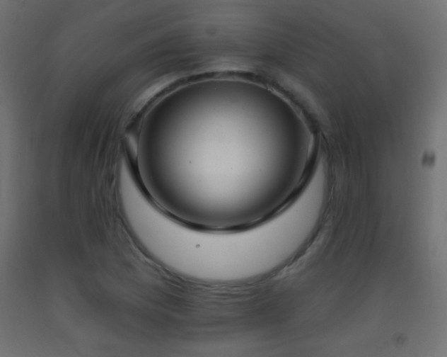 X0000093381169200710111449