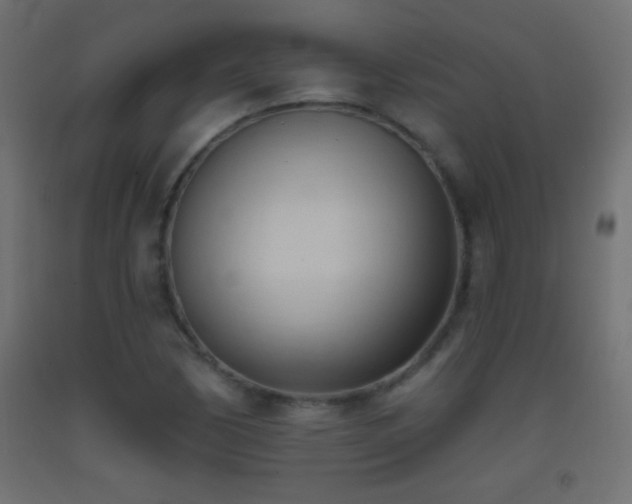 X0000093381170200710111449