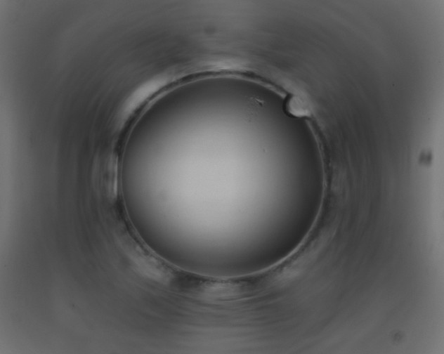 X0000093381171200710111449