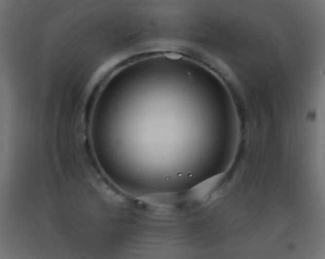 X0000093381172200710111449