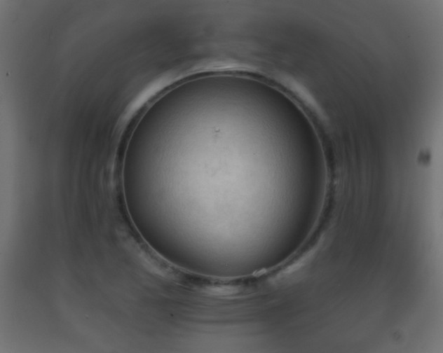 X0000093381173200710111449