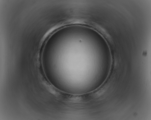 X0000093381174200710111449