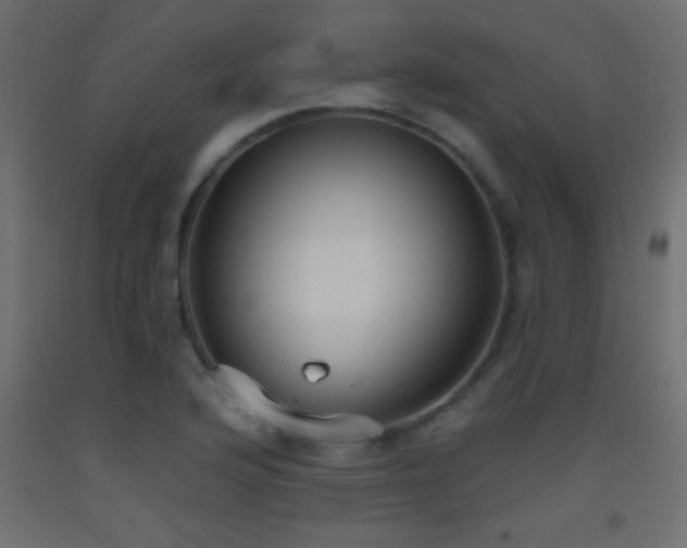 X0000093381176200710111449
