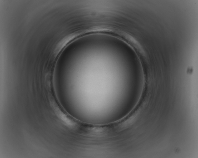 X0000093381177200710111449
