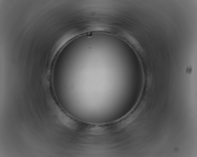 X0000093381178200710111449