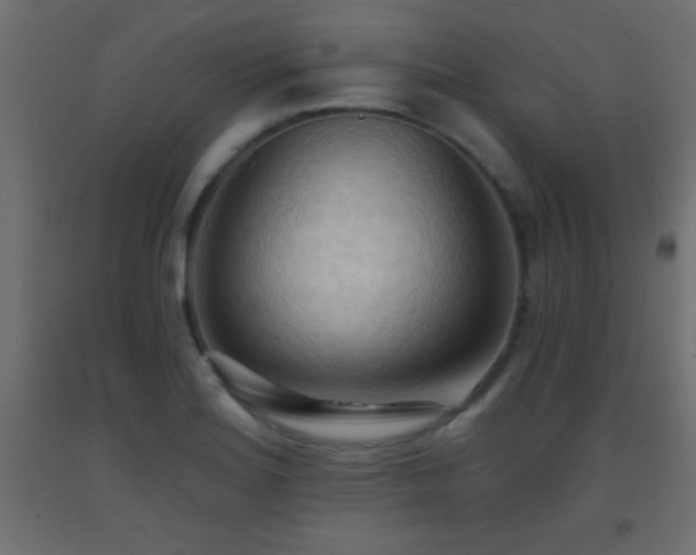 X0000093381180200710111449