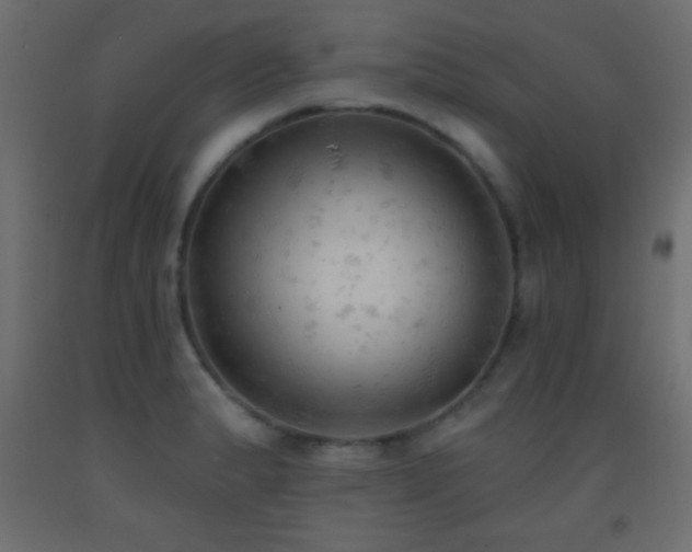 X0000093381183200710111448
