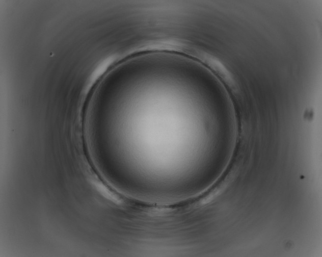 X0000093381184200710111448