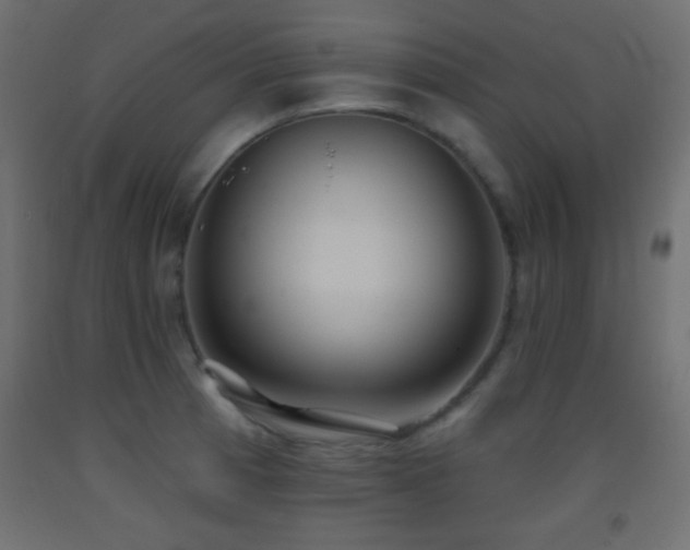 X0000093381185200710111448