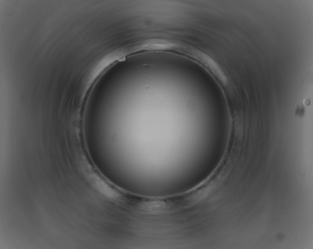 X0000093381186200710111448