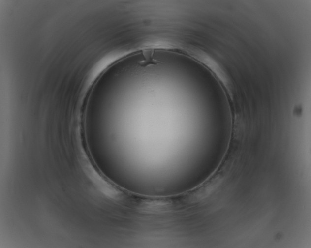 X0000093381187200710111448