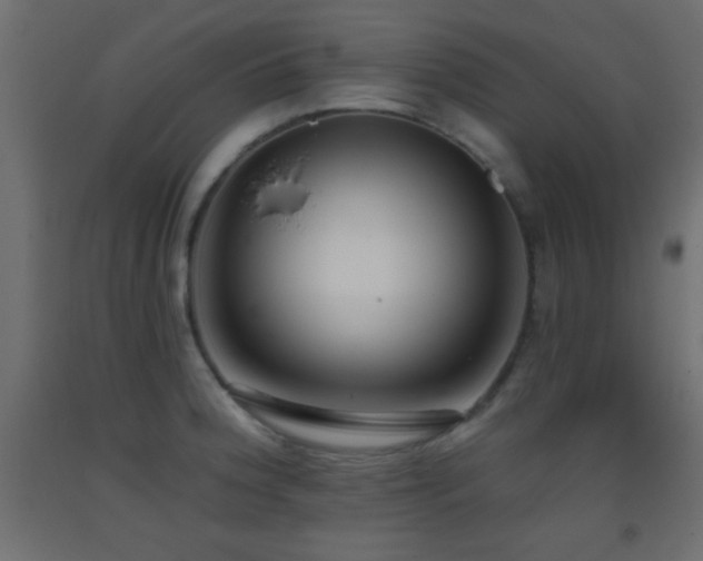 X0000093381188200710111448