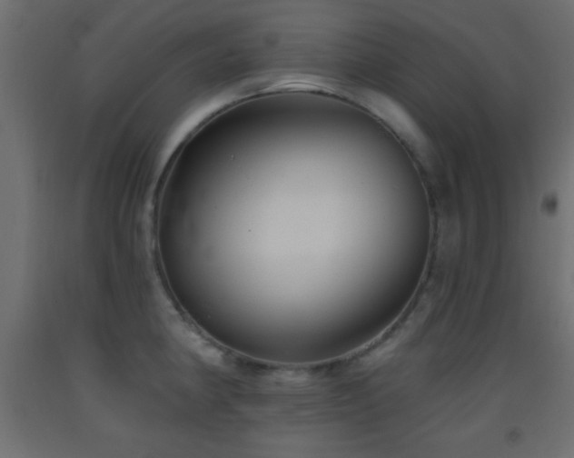 X0000093381190200710111448