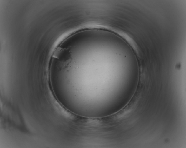 X0000093381191200710111448