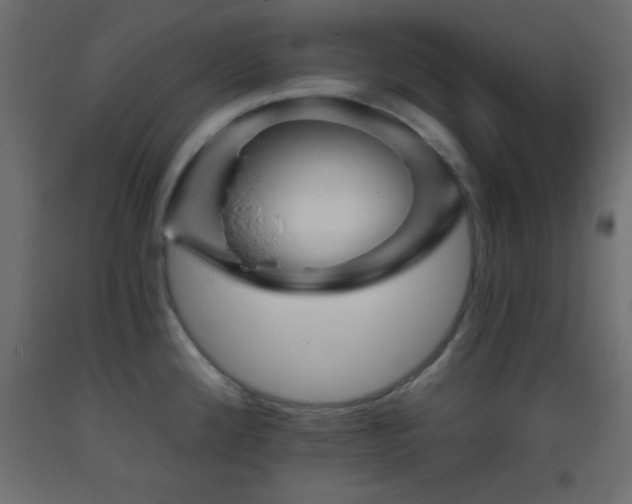 X0000093381192200710111448