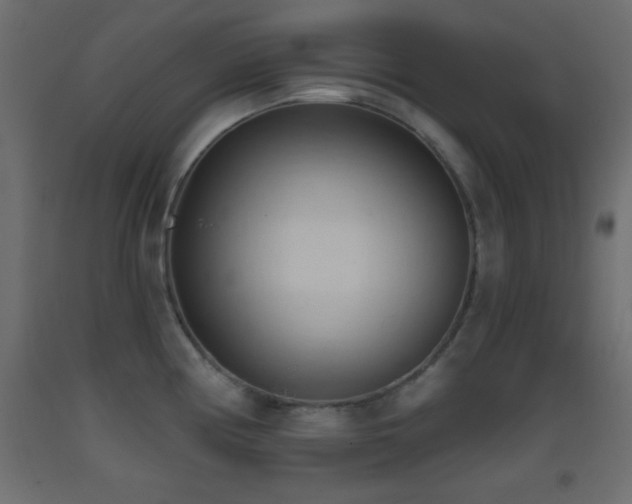 X0000093381194200710111448