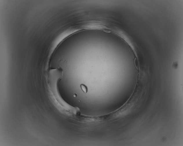 X0000093381195200710111448
