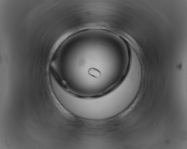 X0000093381196200710111448