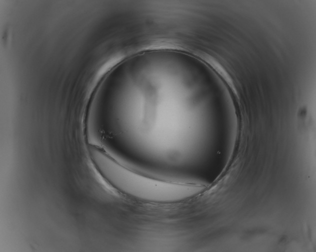X0000093381197200710111448